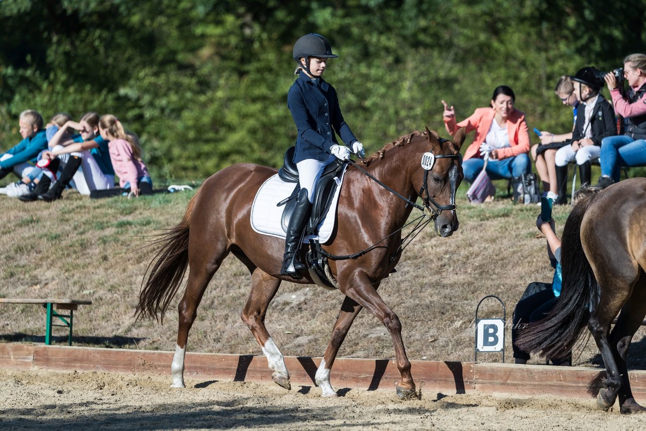 Bild 47 - Pony Akademie Turnier